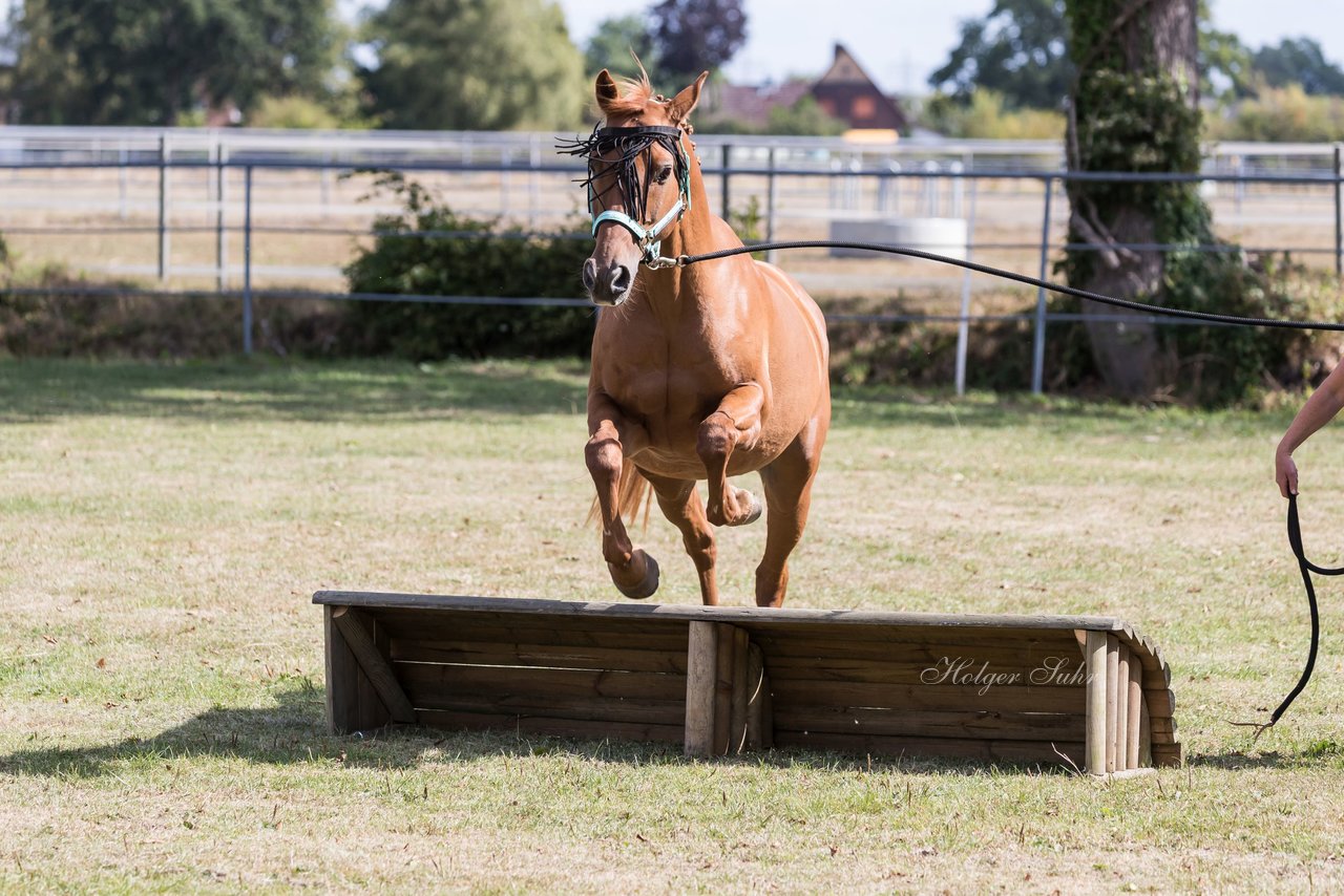 Bild 20 - Pony Akademie Turnier